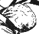 Gloo