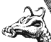 Sp'ock